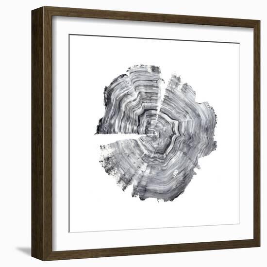 Tree Ring Abstract IV-Ethan Harper-Framed Art Print