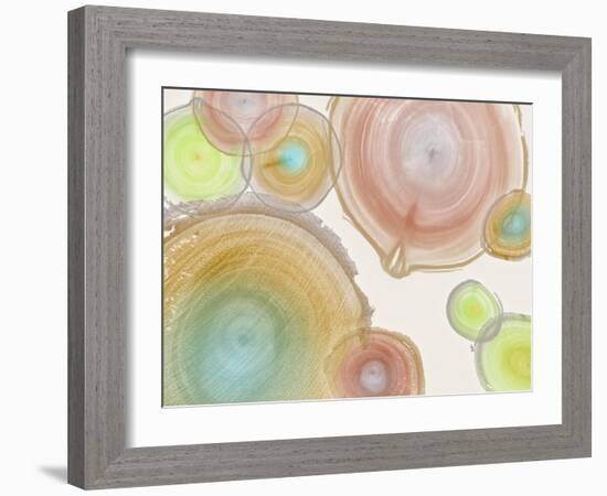 Tree Ring I-Albert Koetsier-Framed Art Print