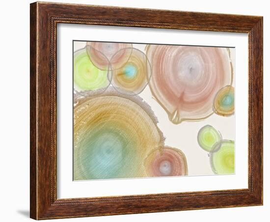 Tree Ring I-Albert Koetsier-Framed Art Print