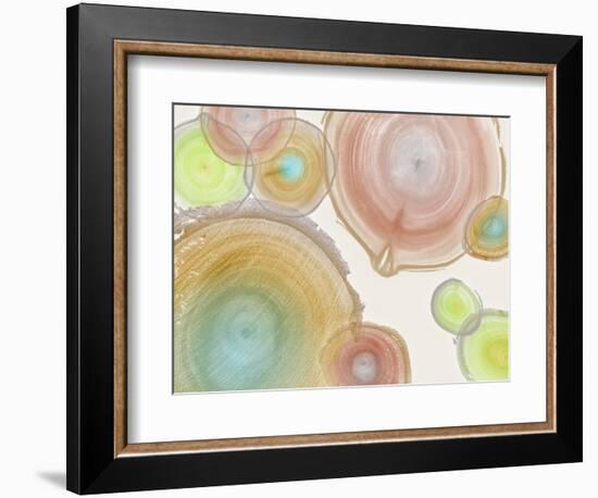 Tree Ring I-Albert Koetsier-Framed Art Print