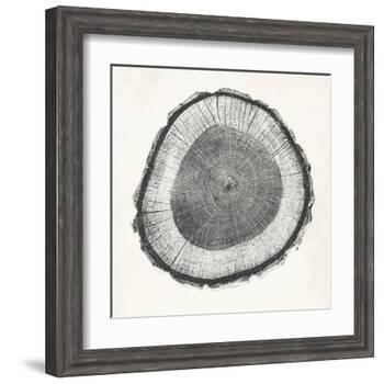 Tree Ring II-Vision Studio-Framed Art Print