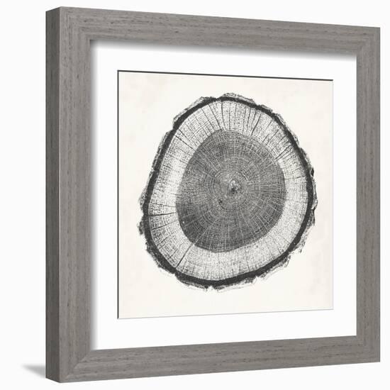 Tree Ring II-Vision Studio-Framed Art Print