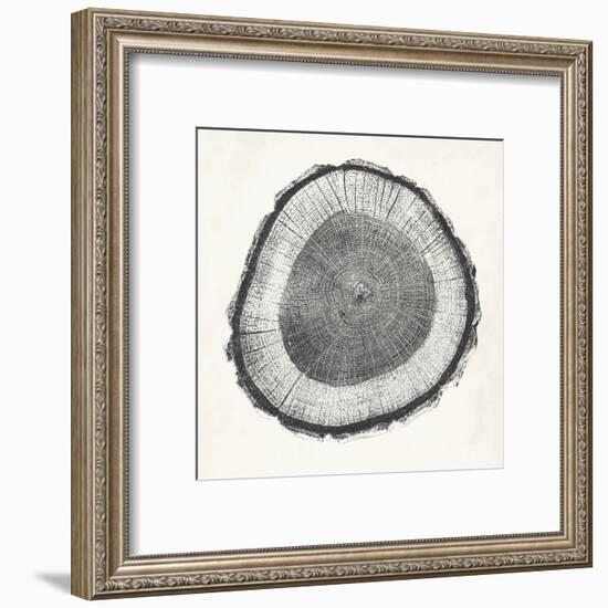 Tree Ring II-Vision Studio-Framed Art Print