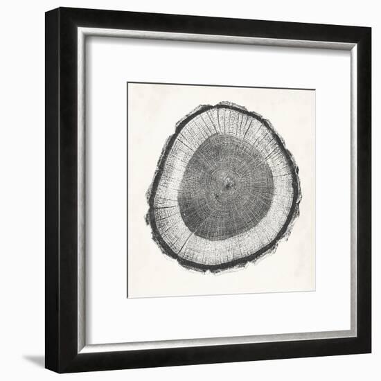 Tree Ring II-Vision Studio-Framed Art Print