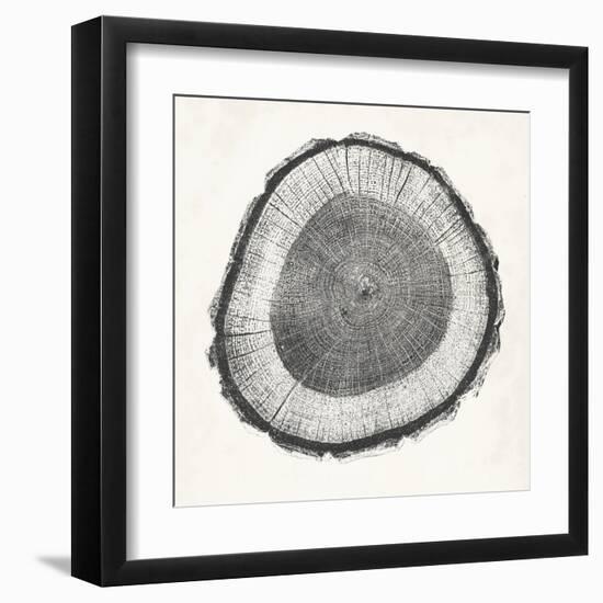 Tree Ring II-Vision Studio-Framed Art Print