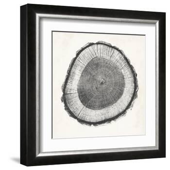 Tree Ring II-Vision Studio-Framed Art Print