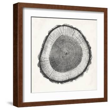 Tree Ring II-Vision Studio-Framed Art Print