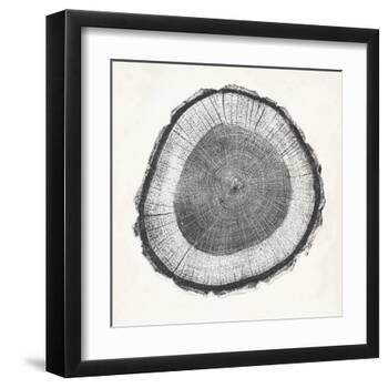 Tree Ring II-Vision Studio-Framed Art Print