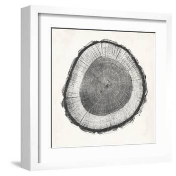 Tree Ring II-Vision Studio-Framed Art Print