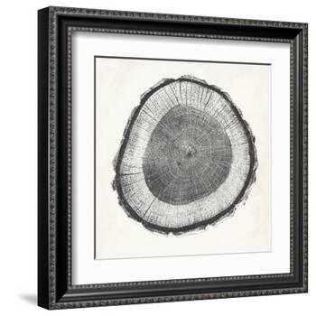 Tree Ring II-Vision Studio-Framed Art Print