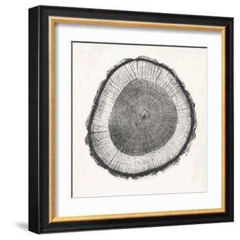 Tree Ring II-Vision Studio-Framed Art Print