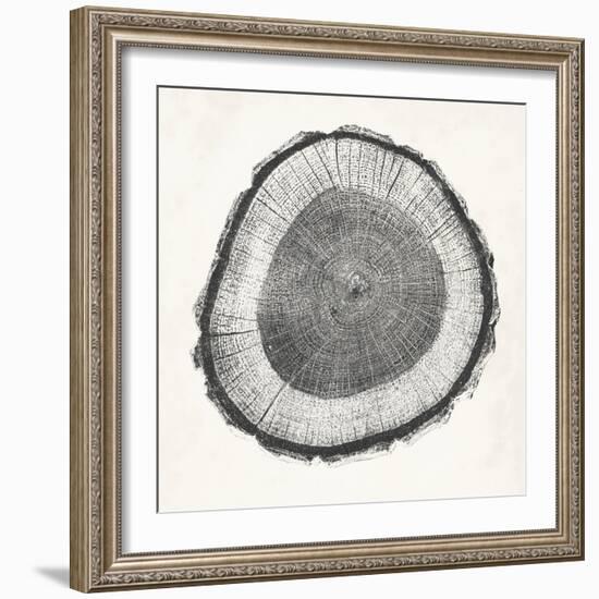 Tree Ring II-Vision Studio-Framed Art Print