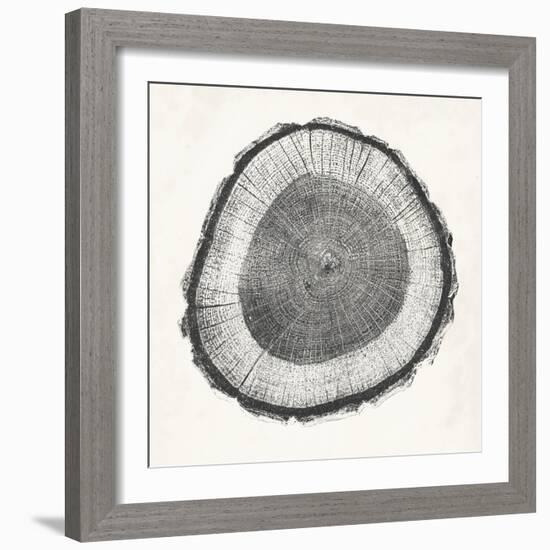 Tree Ring II-Vision Studio-Framed Art Print