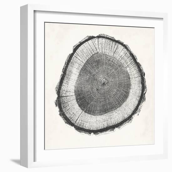 Tree Ring II-Vision Studio-Framed Art Print