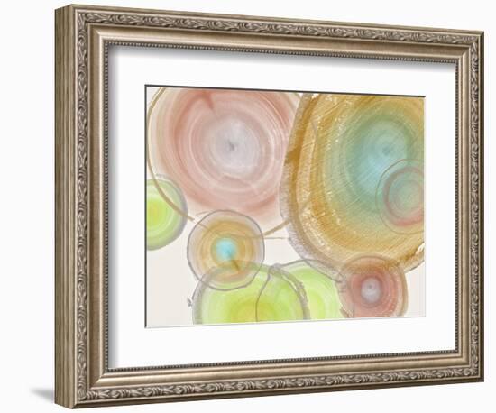 Tree Ring II-Albert Koetsier-Framed Art Print