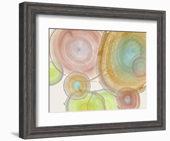 Tree Ring II-Albert Koetsier-Framed Art Print