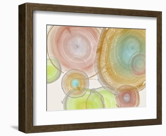 Tree Ring II-Albert Koetsier-Framed Art Print