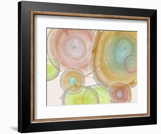 Tree Ring II-Albert Koetsier-Framed Art Print