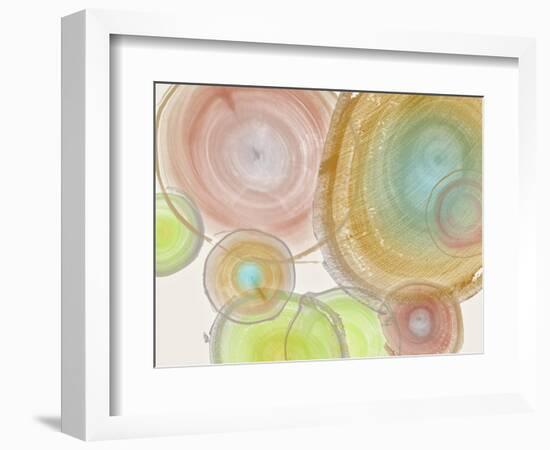 Tree Ring II-Albert Koetsier-Framed Art Print