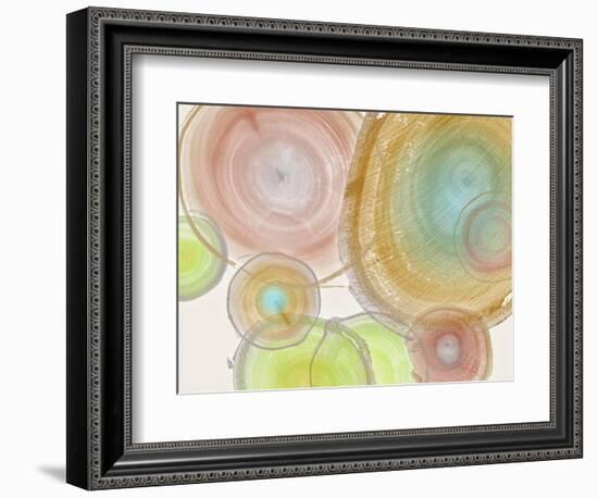 Tree Ring II-Albert Koetsier-Framed Art Print