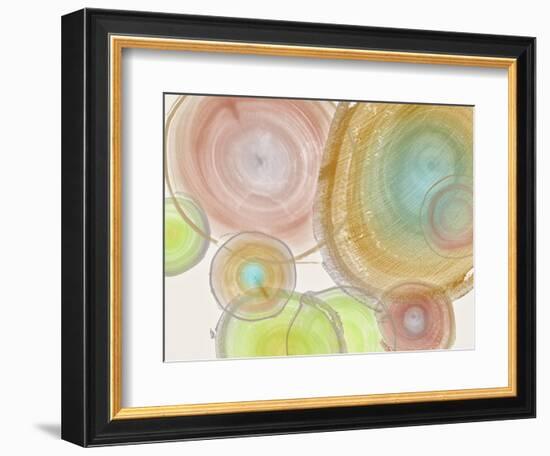 Tree Ring II-Albert Koetsier-Framed Art Print