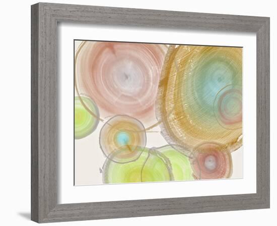 Tree Ring II-Albert Koetsier-Framed Art Print