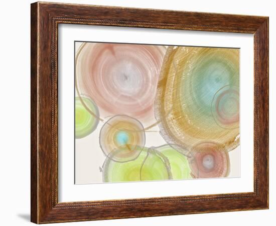 Tree Ring II-Albert Koetsier-Framed Art Print