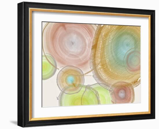 Tree Ring II-Albert Koetsier-Framed Art Print