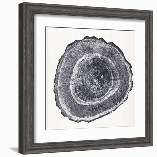 Tree Ring III-Vision Studio-Framed Art Print