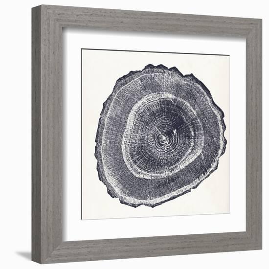 Tree Ring III-Vision Studio-Framed Art Print