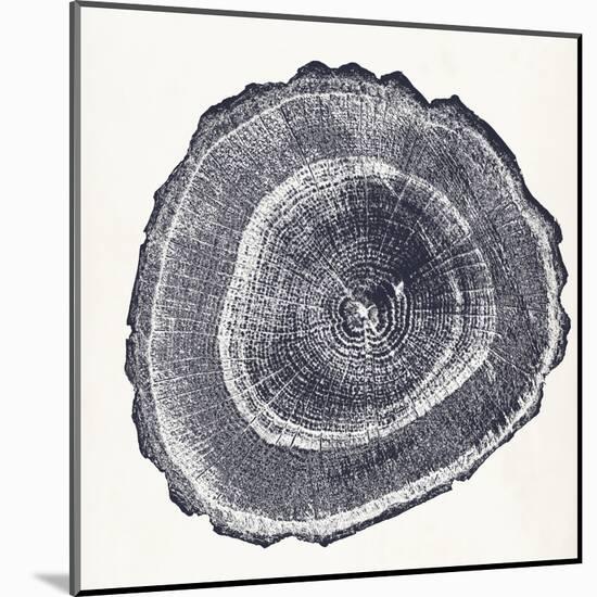 Tree Ring III-Vision Studio-Mounted Art Print