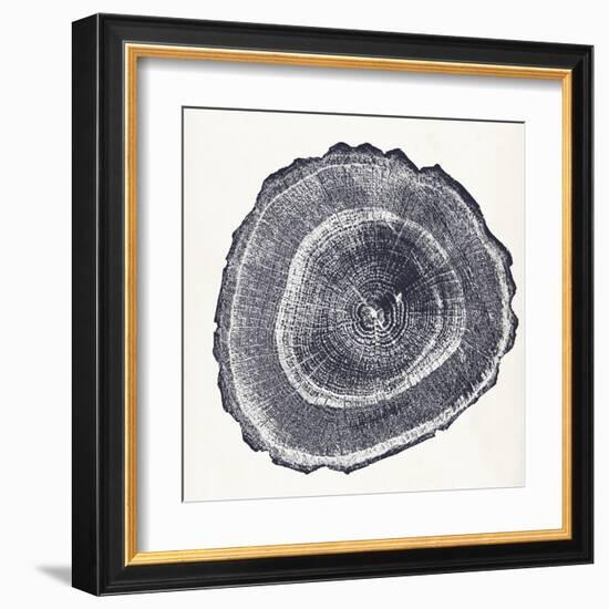 Tree Ring III-Vision Studio-Framed Art Print