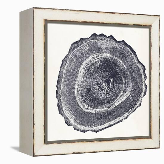 Tree Ring III-Vision Studio-Framed Stretched Canvas