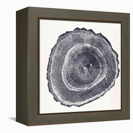 Tree Ring III-Vision Studio-Framed Stretched Canvas