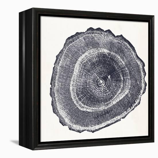 Tree Ring III-Vision Studio-Framed Stretched Canvas