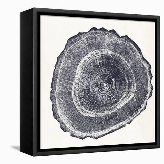 Tree Ring III-Vision Studio-Framed Stretched Canvas