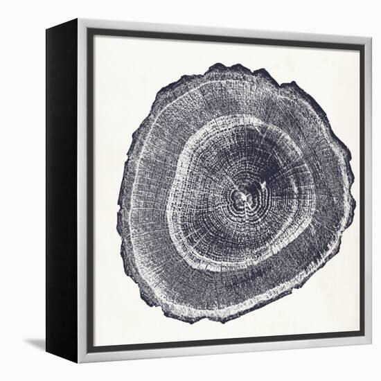 Tree Ring III-Vision Studio-Framed Stretched Canvas