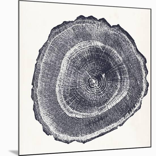 Tree Ring III-Vision Studio-Mounted Art Print