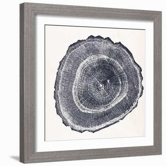 Tree Ring III-Vision Studio-Framed Art Print