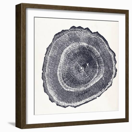 Tree Ring III-Vision Studio-Framed Art Print