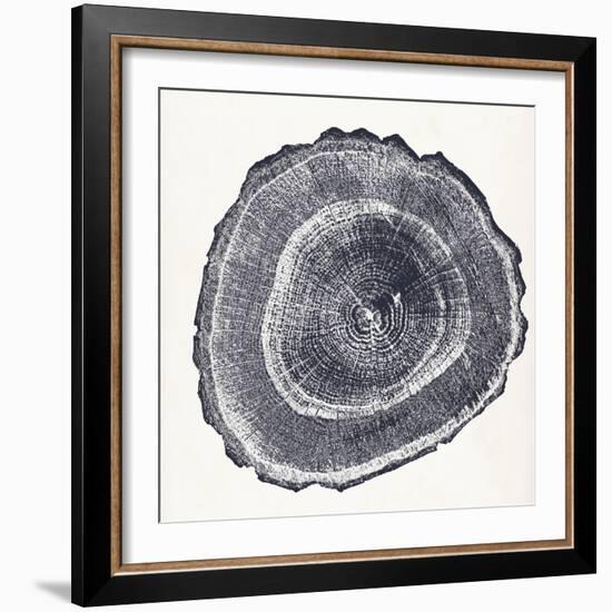 Tree Ring III-Vision Studio-Framed Art Print