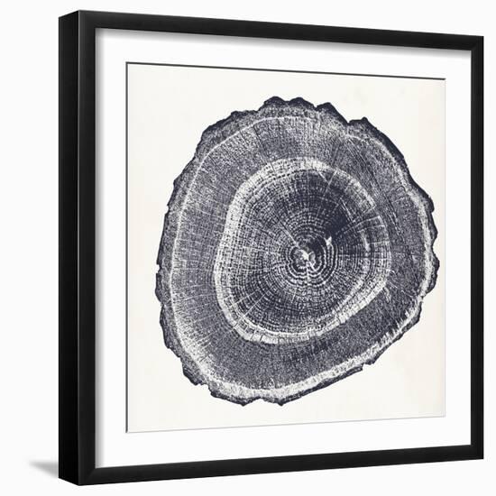 Tree Ring III-Vision Studio-Framed Art Print