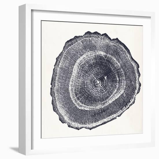 Tree Ring III-Vision Studio-Framed Art Print