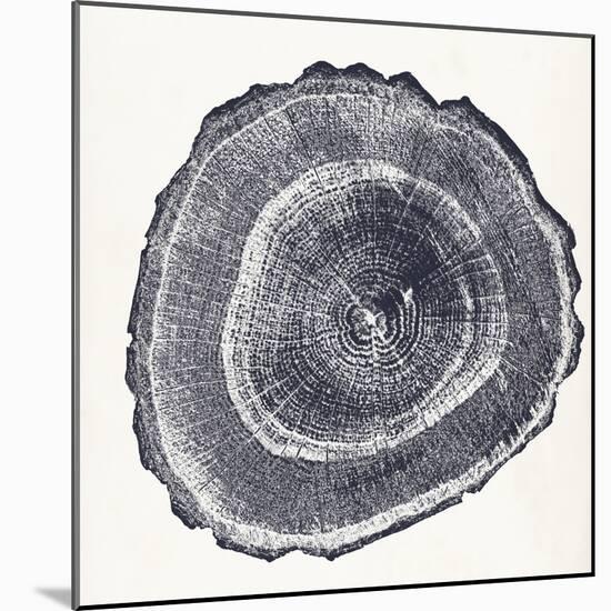 Tree Ring III-Vision Studio-Mounted Art Print