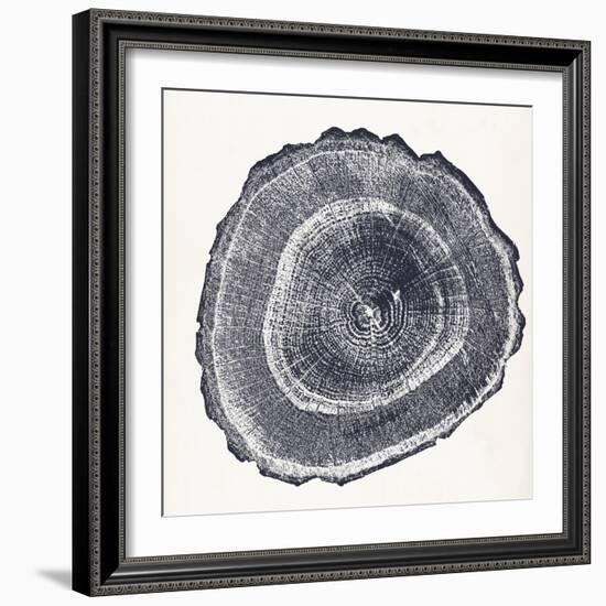 Tree Ring III-Vision Studio-Framed Art Print