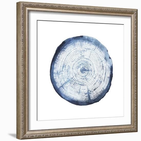 Tree Ring Overlay I-Grace Popp-Framed Art Print