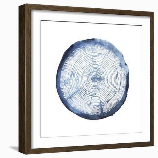 Tree Ring Overlay I-Grace Popp-Framed Art Print