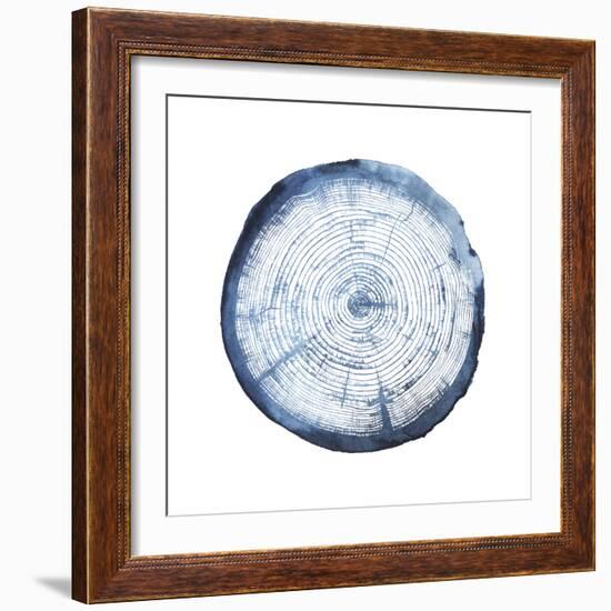 Tree Ring Overlay I-Grace Popp-Framed Art Print