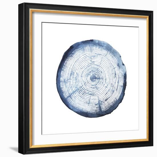 Tree Ring Overlay I-Grace Popp-Framed Art Print