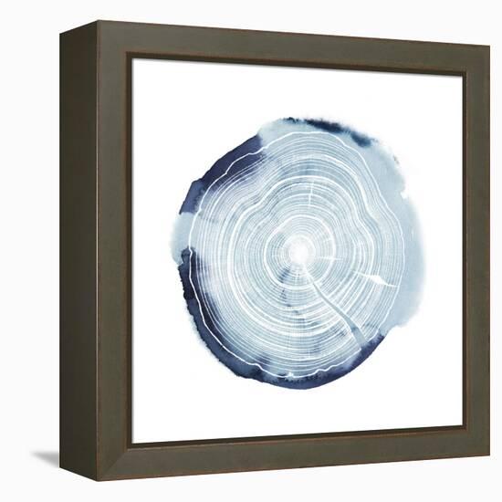 Tree Ring Overlay III-Grace Popp-Framed Stretched Canvas